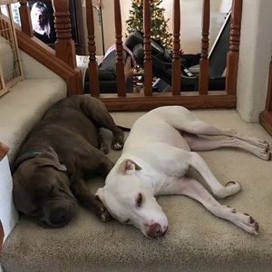 Meet your Posher, Jamie